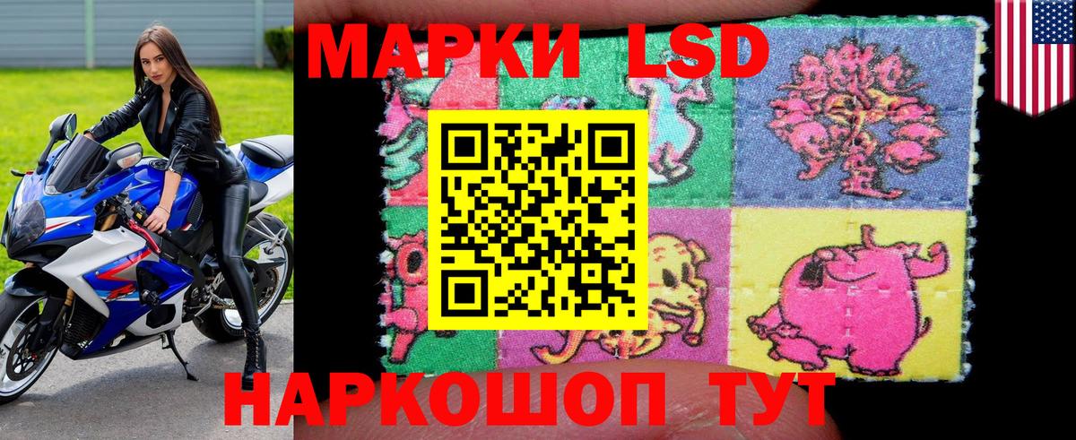 Наркотические марки  Наркотические марки 1500мкг  Вход с VPN  Нерюнгри 