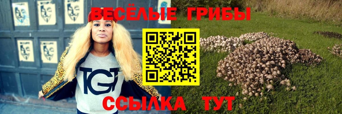 Псилоцибиновые грибы мухоморы Нерюнгри